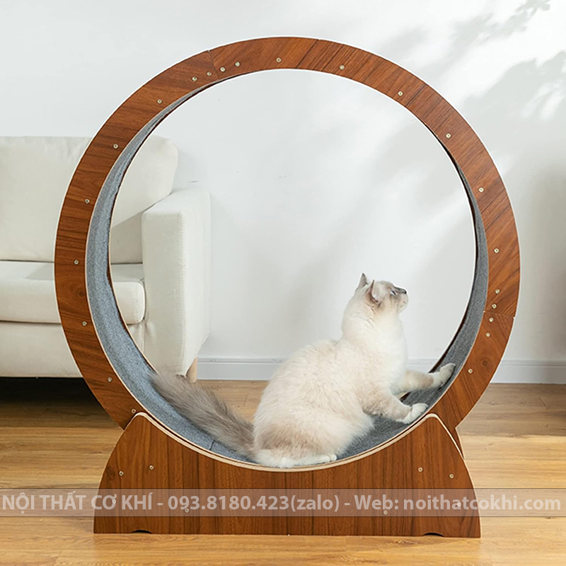 Catwheel – Máy Chạy Bộ Cho Mèo Giúp Mèo Khỏe Mạnh, Vui Vẻ Mỗi Ngày